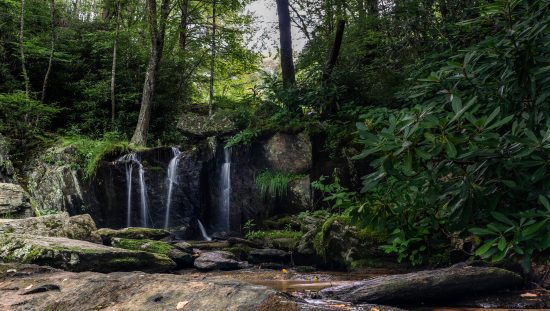 Waterfall Park Upper Falls