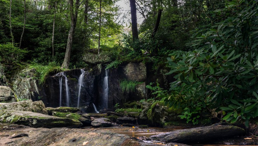 Waterfall Park Upper Falls